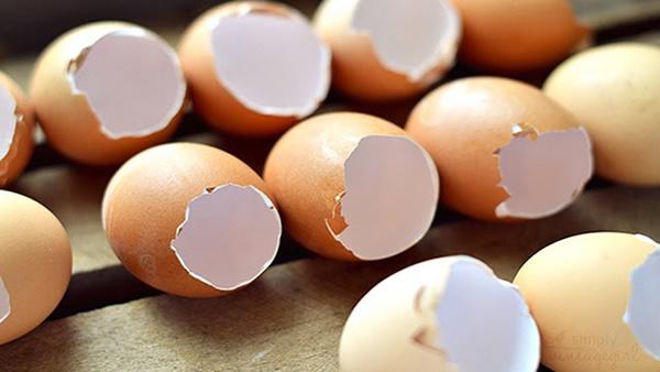 Đánh bay toàn bộ vết bẩn, làm sắc lưỡi dao máy xay trong 30s nhờ vỏ trứng gà-2