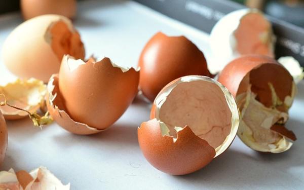 Đánh bay toàn bộ vết bẩn, làm sắc lưỡi dao máy xay trong 30s nhờ vỏ trứng gà-1