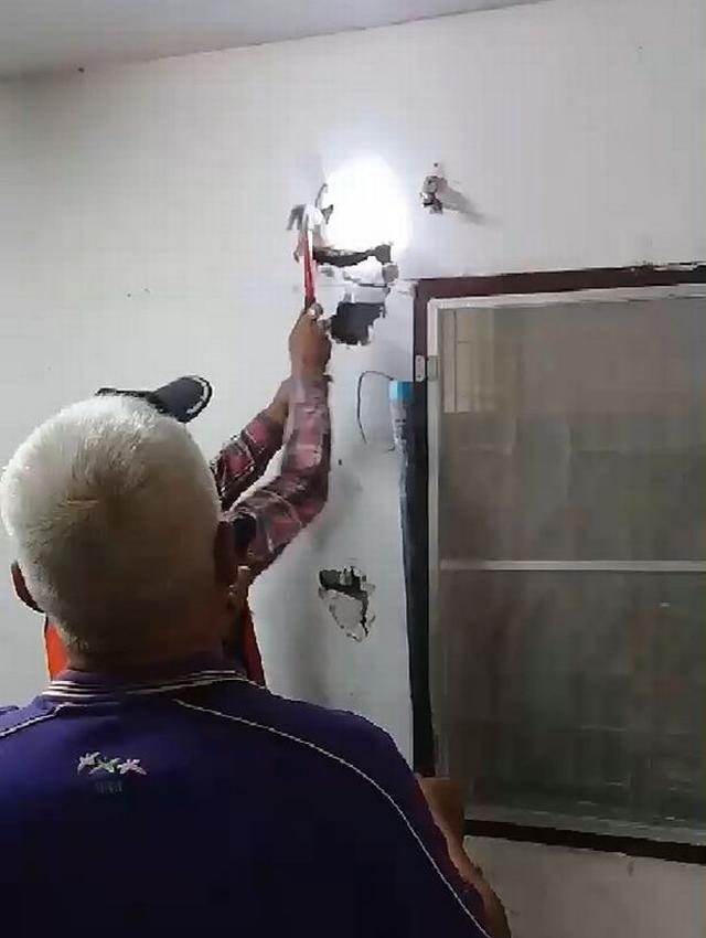 Nghe tiếng rít ghê rợn bên trong tường, chủ nhà phá ra mới phát hiện điều khủng khiếp-1