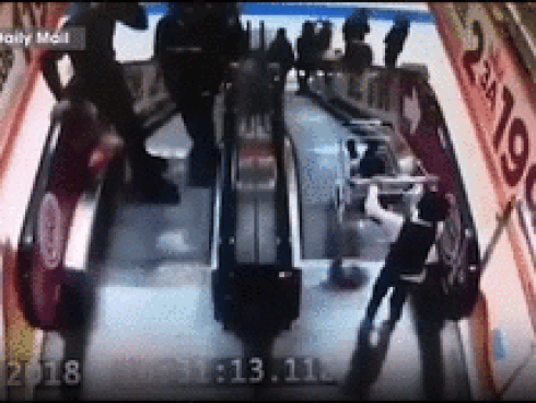 Đỉnh cao sân si: Người phụ nữ đứng chờ đầu ngõ rồi dùng gậy đả thương một chú chó-1