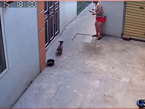 CLIP: Bị đấm chảy máu, tài xế Mazda mở cốp lấy đồ trả thù rồi bất ngờ tuyên bố ngừng đánh-1