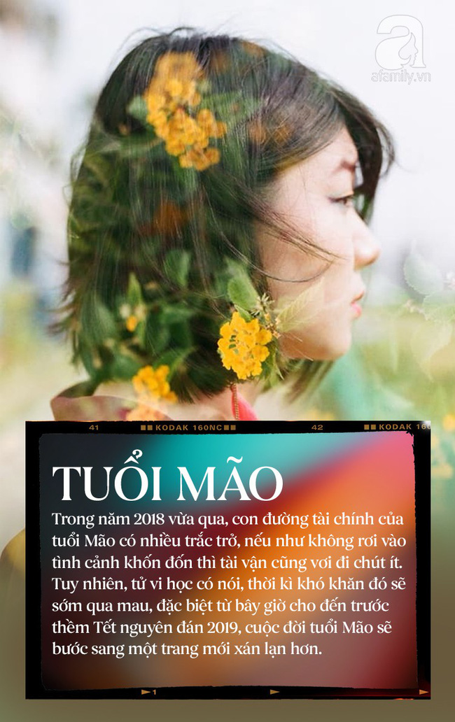 Từ giờ đến Tết, lộc sẽ tự chạy vào túi của 3 con giáp này, may mắn nối tiếp may mắn, năm 2019 thăng hoa rực rỡ bất ngờ-1