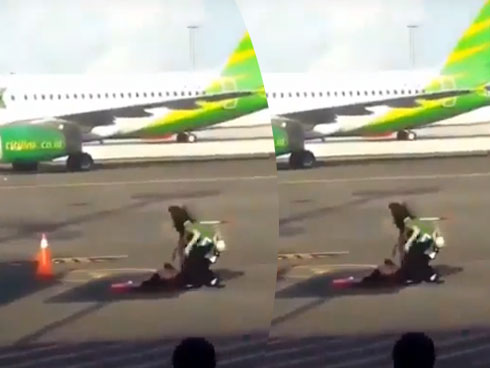 Chuyện lạ có thật: Chó hiểu tiếng người, thông minh đừng hỏi-1