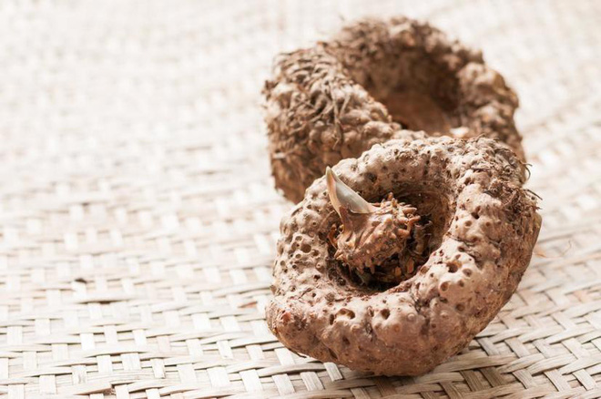 Ruột có sạch thì cơ thể mới khỏe: 7 thực phẩm giúp thải độc ruột hiệu quả ai cũng nên ăn-8