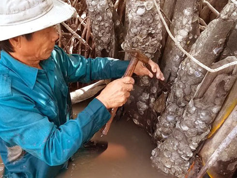 Bán bánh lạ bọc ống inox: Bám vỉa hè Hà Nội, chàng trai thu 70 triệu/tháng-7