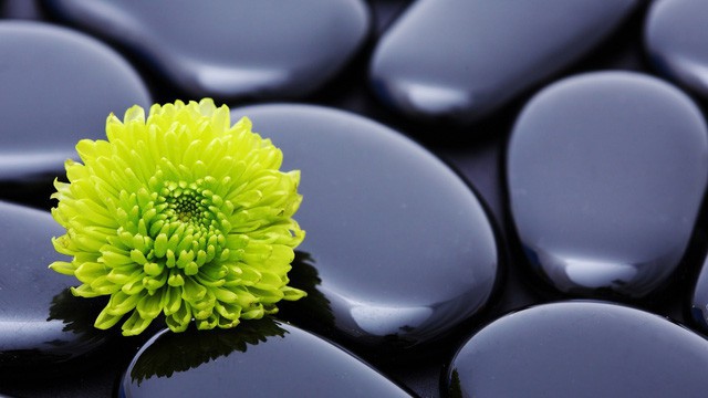 Hãy ghi nhớ thật kỹ bốn chữ không” này trên đường đời để có sự nghiệp thành công, cuộc sống viên mãn-1