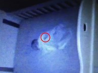 Theo dõi con ngủ qua video, mẹ phát hiện 'chấm đen lớn' đang di chuyển trên người bé