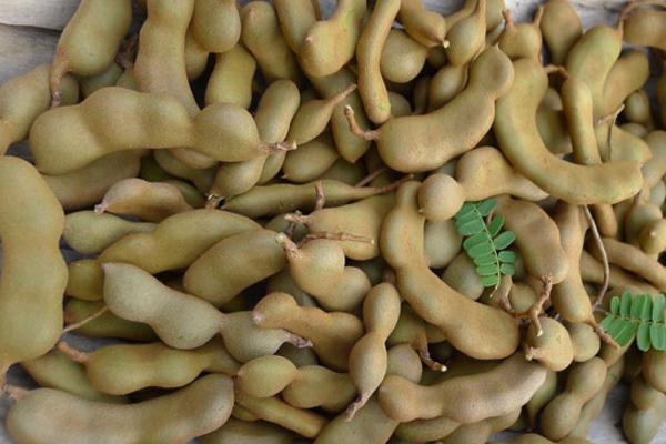 Trắng đến mức nhìn như bạch tạng, đây là mốt mới của gái Thái ngày nay?-8