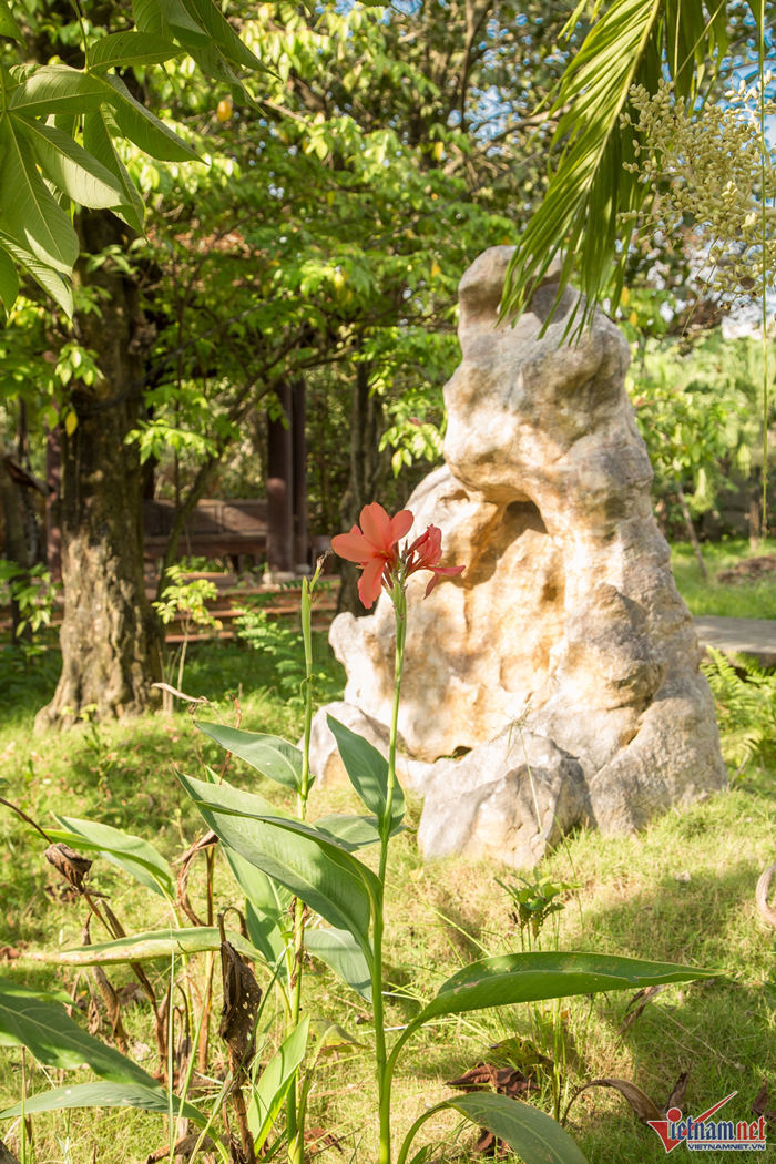 Nhà vườn 7.000 m2 trị giá hàng tỷ đồng bị bỏ bê của Ánh Tuyết-12