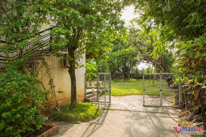 Nhà vườn 7.000 m2 trị giá hàng tỷ đồng bị bỏ bê của Ánh Tuyết-17