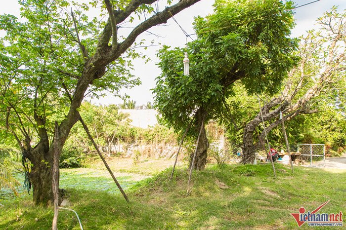Nhà vườn 7.000 m2 trị giá hàng tỷ đồng bị bỏ bê của Ánh Tuyết-18