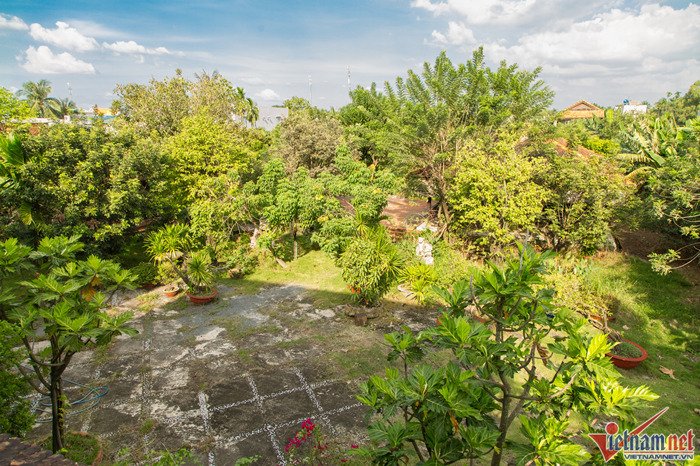 Nhà vườn 7.000 m2 trị giá hàng tỷ đồng bị bỏ bê của Ánh Tuyết-22