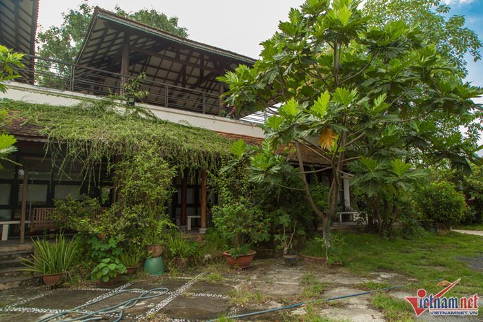 Nhà vườn 7.000 m2 trị giá hàng tỷ đồng bị bỏ bê của Ánh Tuyết-3