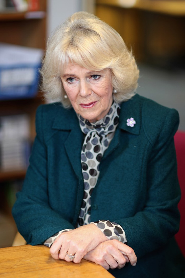 Tiết lộ gây sốc trong bữa tiệc mừng sinh nhật Thái tử Charles, bà Camilla đã nổi cơn ghen với người phụ nữ này-2