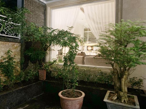 Cận cảnh biệt phủ 20 tỷ của ca sỹ sưu tầm sổ đỏ”, có 13 nhà vẫn đi xe ôm-4