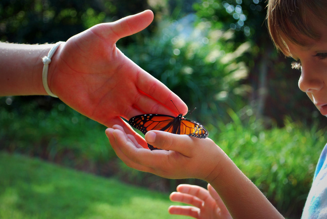 Muốn biết một gia đình hưng thịnh hay lụn bại, cứ nhìn vào 3 việc này sẽ thấy!-2