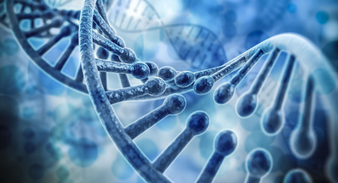 4 yếu tố nguy cơ gây ung thư dạ dày: Bạn cần khám sớm để phát hiện có mầm bệnh hay không-2