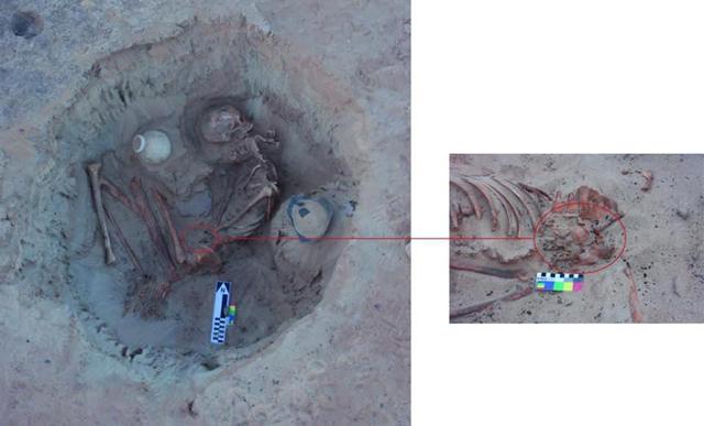 Bí ẩn thai nhi trong bụng hài cốt người phụ nữ suốt 3.700 năm-1