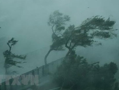 Khẩn cấp: Học sinh TP.HCM nghỉ học từ 12 giờ trưa nay-2