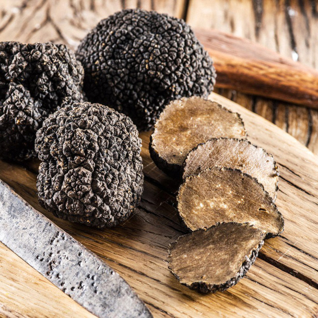 Truffle - loại nấm đắt nhất thế giới, thần dược phòng the, kim cương đen của nền ẩm thực: 140 triệu/kg-1