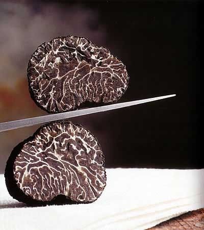 Truffle - loại nấm đắt nhất thế giới, thần dược phòng the, kim cương đen của nền ẩm thực: 140 triệu/kg-2