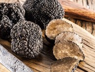 Truffle - loại nấm đắt nhất thế giới, thần dược phòng the, 'kim cương đen' của nền ẩm thực: 140 triệu/kg