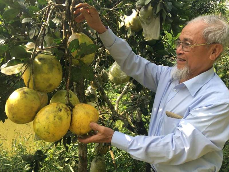 Tiên ông và trang trại 5 trong 1” có tài ghép cây ra nhiều loại quả-1