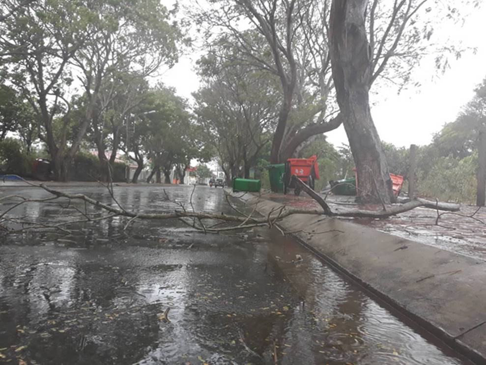 Bão số 9 đang tiến vào đất liền, Vũng Tàu gió rít dữ dội, quật ngã người đi đường-7