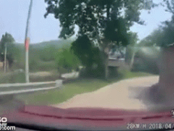 Xe máy đâm trực diện ô tô, phản xạ của cô gái ngồi phía sau gây chú ý