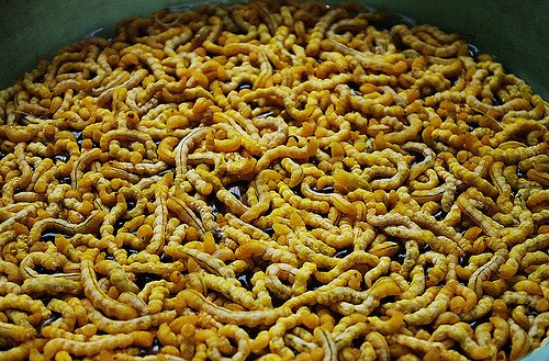 Ấu trùng tăng cường sinh lực: 4 triệu/kg-1