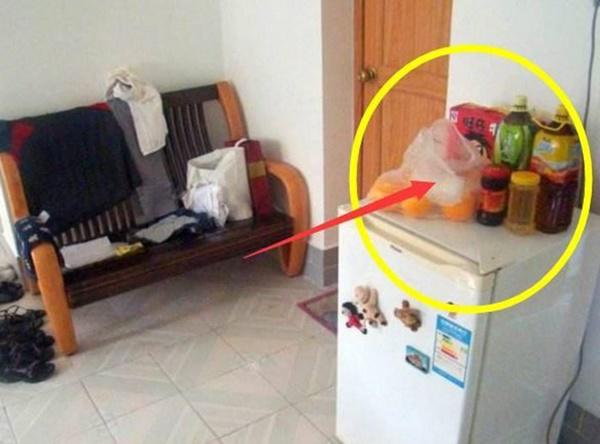 Còn để thứ này trên tủ lạnh tiền ra như nước, 3 đời sau cũng không giàu nổi-2