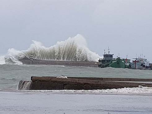 TP.HCM: Cây xanh bị bão quật ngã, hai mẹ con bé trai 6 tuổi thoát chết trong gang tấc-4