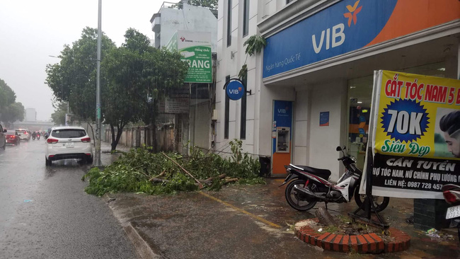 TP.HCM: Cây xanh bị bão quật ngã, hai mẹ con bé trai 6 tuổi thoát chết trong gang tấc-1