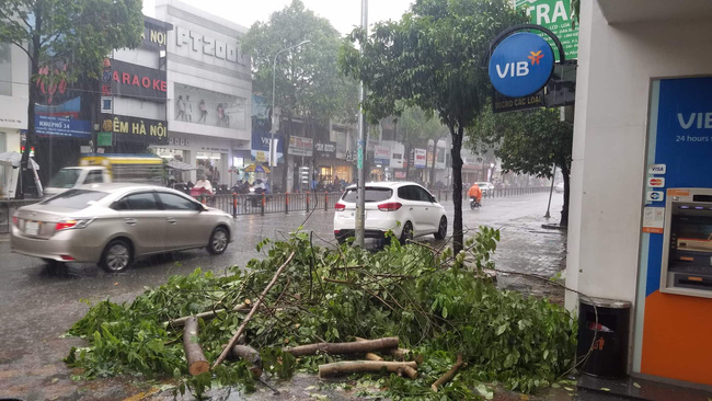 TP.HCM: Cây xanh bị bão quật ngã, hai mẹ con bé trai 6 tuổi thoát chết trong gang tấc-2