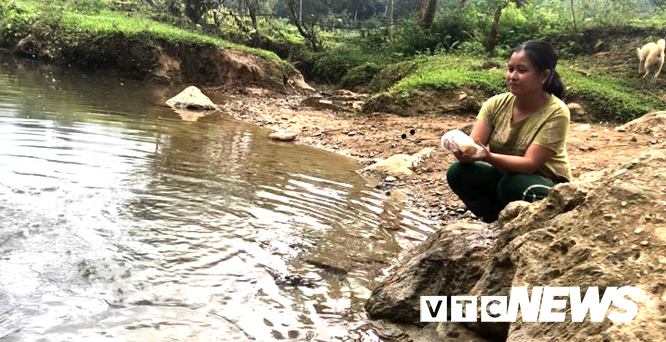 Kỳ bí suối nước trong vắt, cá lúc nhúc giữa rừng thẳm Sơn La-2