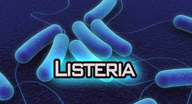 Mỹ: Xác nhận nhiều ca nhiễm vi khuẩn chết người sau khi ăn Chả lụa Long Phụng-2