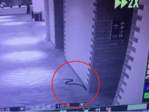 5 đối tượng thay nhau quan hệ với bé gái 15 tuổi rồi phân xác phi tang-2