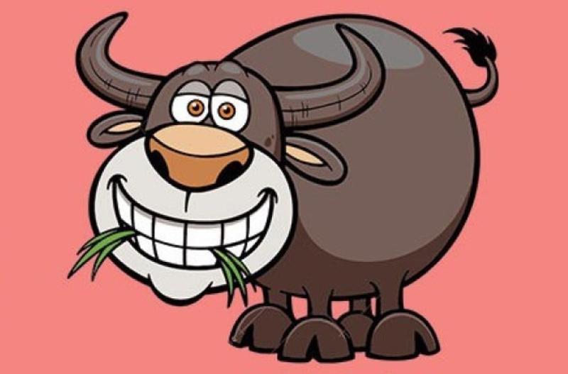 7 tuổi này mà sinh con năm Kỷ Hợi 2019 thì ăn lên làm ra, tài lộc ầm ầm-6