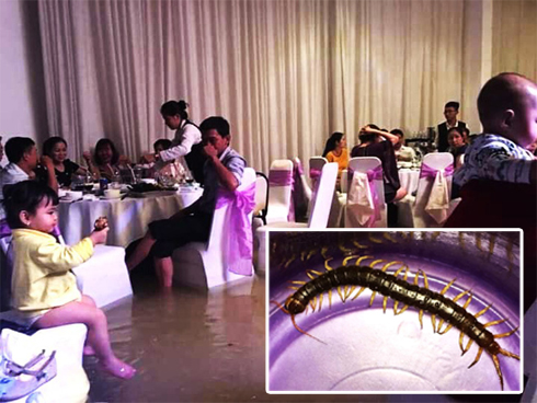 TP.HCM: Bệnh viện ngập sâu, bác sĩ lội nước cấp cứu bệnh nhân-3