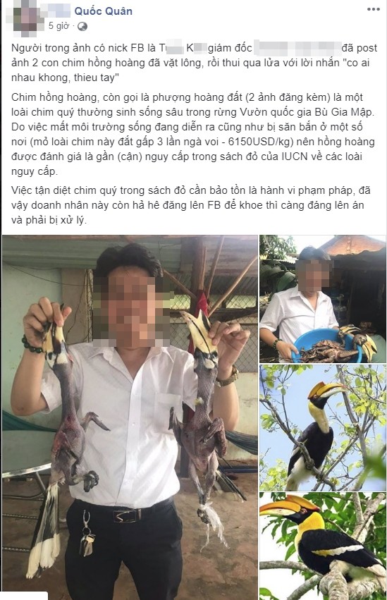 Đăng ảnh đôi chim bị vặt lông, người đàn ông khiến cả mạng xã hội dậy sóng-2