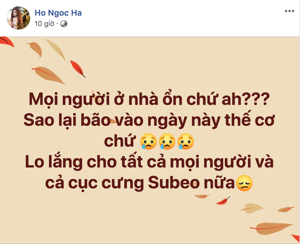 Đi lưu diễn xa, Hà Hồ bày tỏ lo lắng cho mọi người ở nhà khi hay tin bão số 9 gây thiệt hại lớn-2