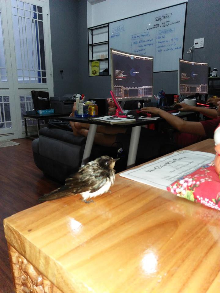 Sau bão số 9, dân mạng dở khóc dở cười bởi những vị khách không mời mà đến-3