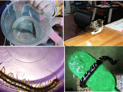 Bão số 9 đã qua, câu chuyện về TTTM mở cửa cho người trú mưa ngủ qua đêm vẫn còn gây xúc động-6