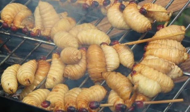 Món sâu rán: Kinh sợ nhưng ăn rất phê-1