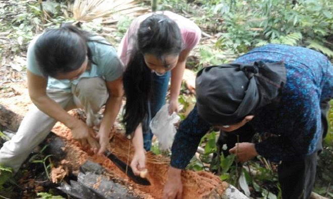 Món sâu rán: Kinh sợ nhưng ăn rất phê-2