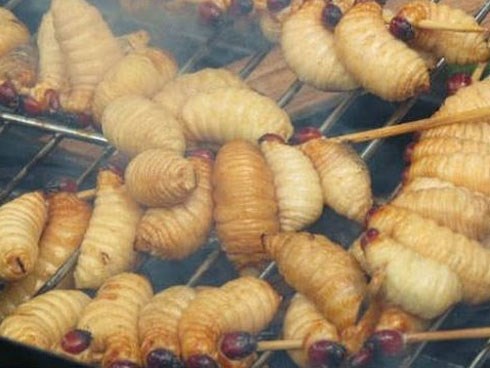 Món sâu rán: Kinh sợ nhưng ăn rất phê