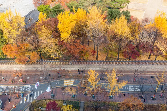 Hàn Quốc cấp visa 5 năm cho công dân Hà Nội, TP.HCM và Đà Nẵng-3