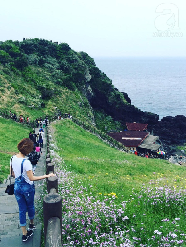 Hàn Quốc cấp visa 5 năm cho công dân Hà Nội, TP.HCM và Đà Nẵng-4