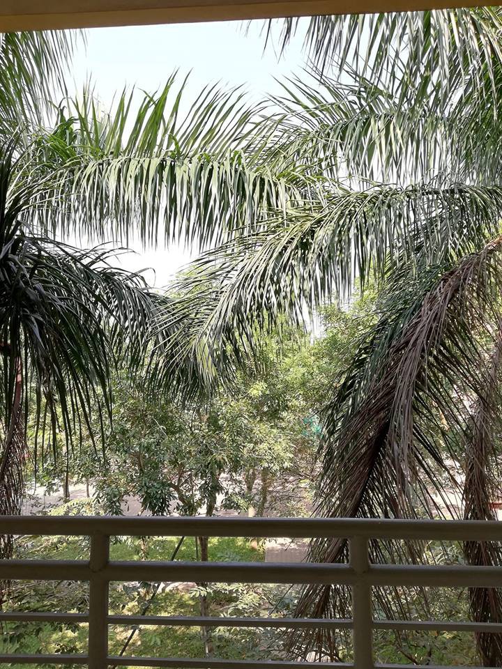 Loạt tình huống dở khóc dở cười của học sinh sinh viên khi đón bão Usagi: Được nghỉ học nhưng vẫn tai ương lắm!-8