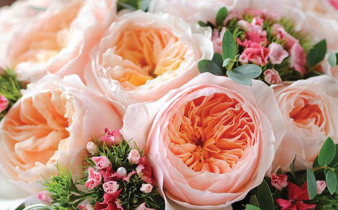 Những loài hoa ngốn” tiền của giới tỷ phú-2